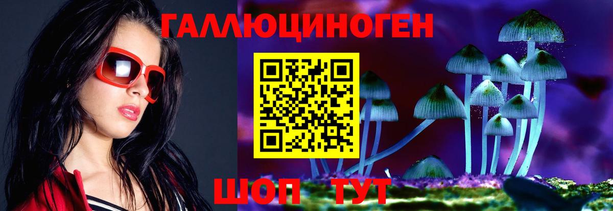 Псилоцибиновые грибы ЛСД  где купить наркоту  Шахты  Вход с VPN 